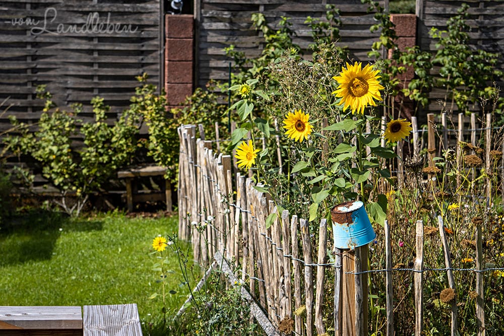 Bauerngarten im September 2020
