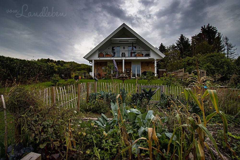 Unser Garten im September 2020