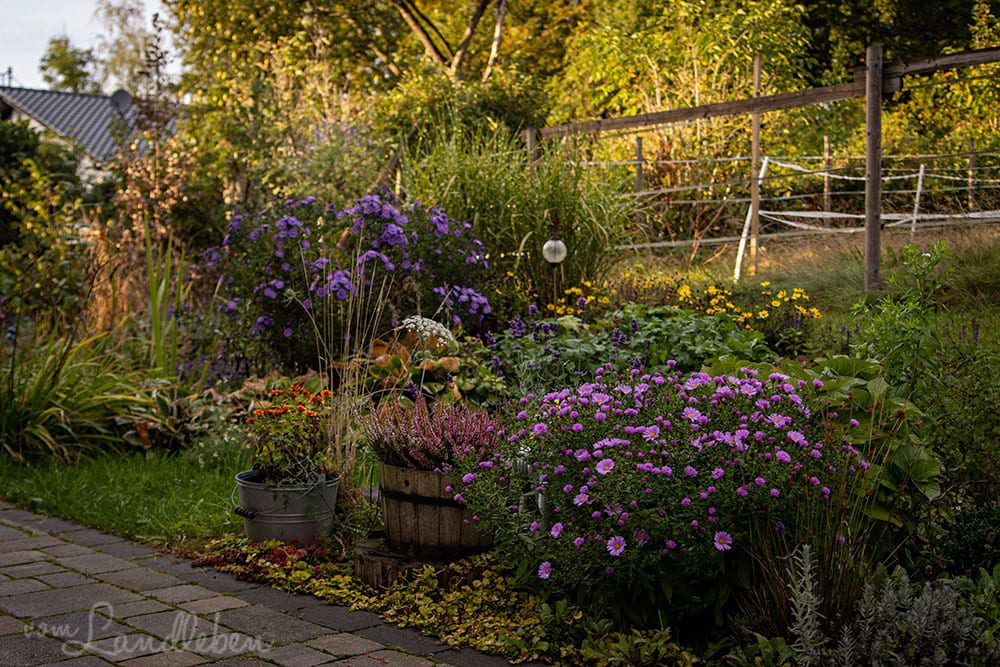 Mittelgarten im September 2020