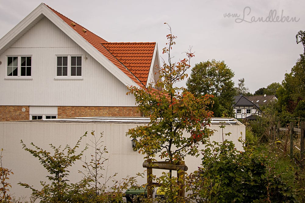 Vorgarten im September 2020