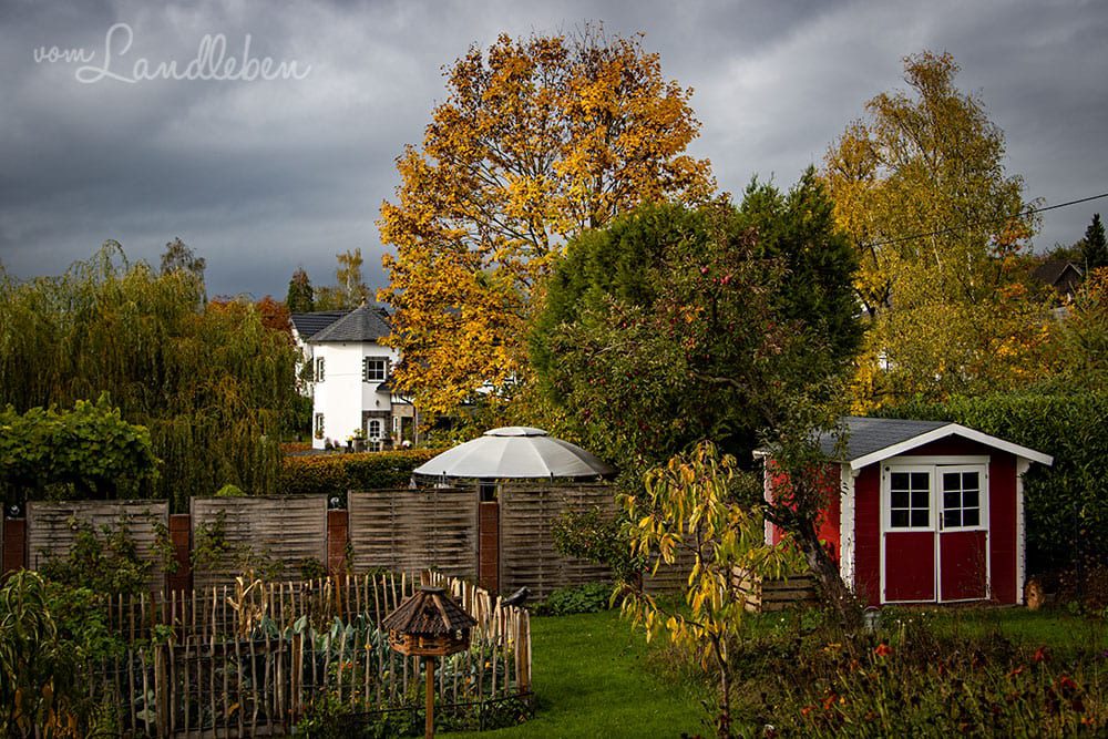 Unser Garten im Oktober 2020