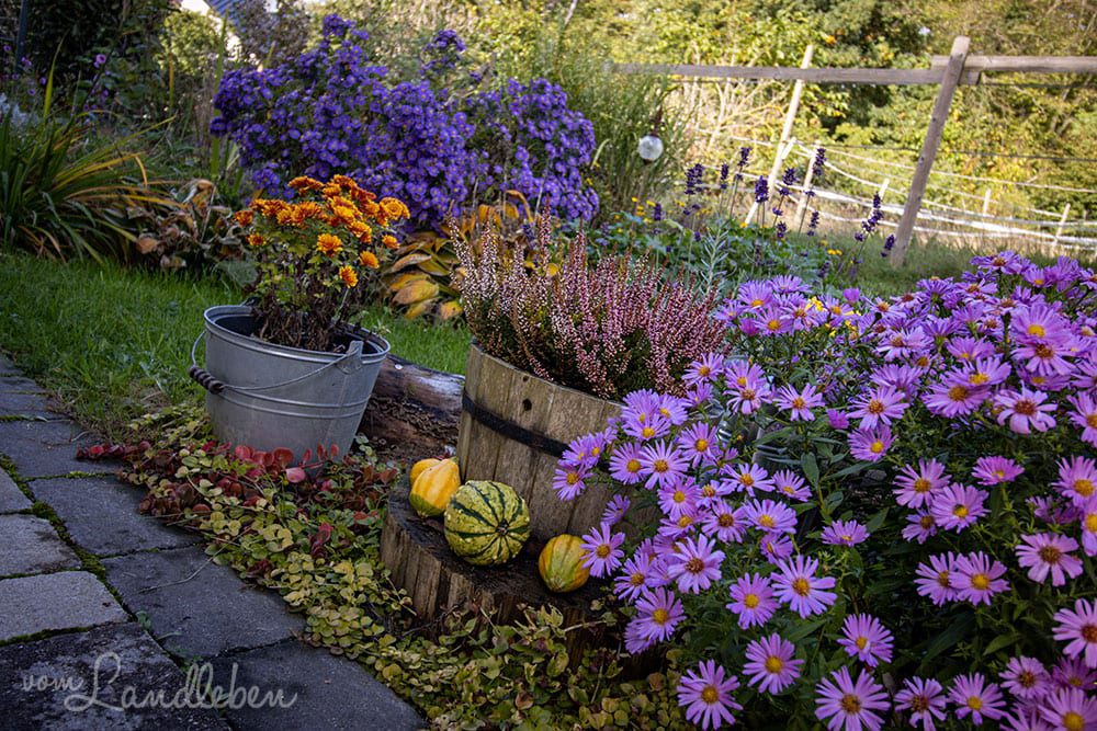 Mittelgarten im Oktober 2020