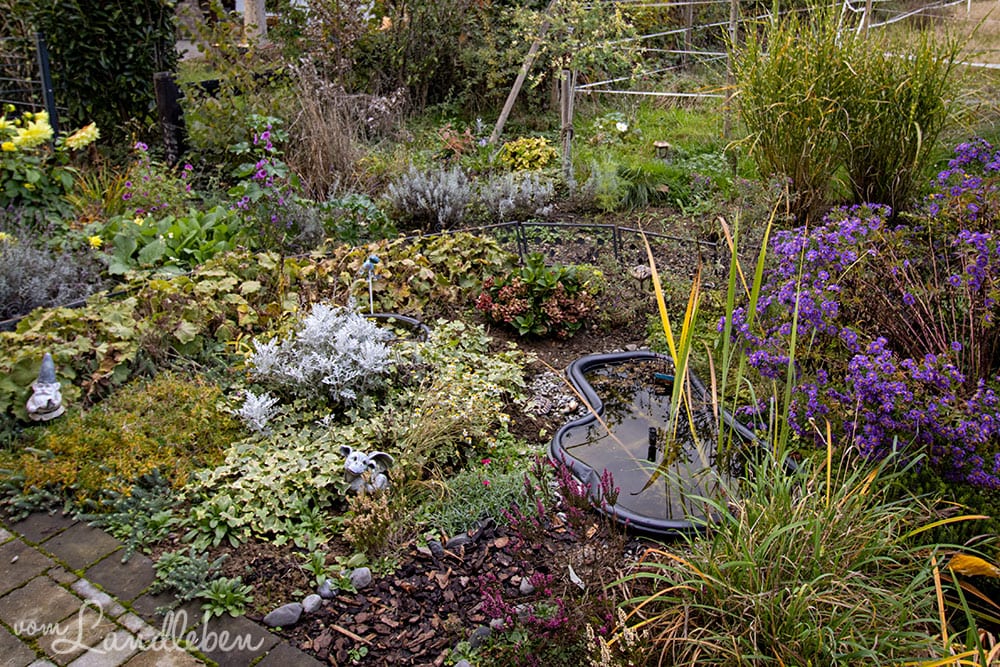 Mittelgarten im Oktober 2020