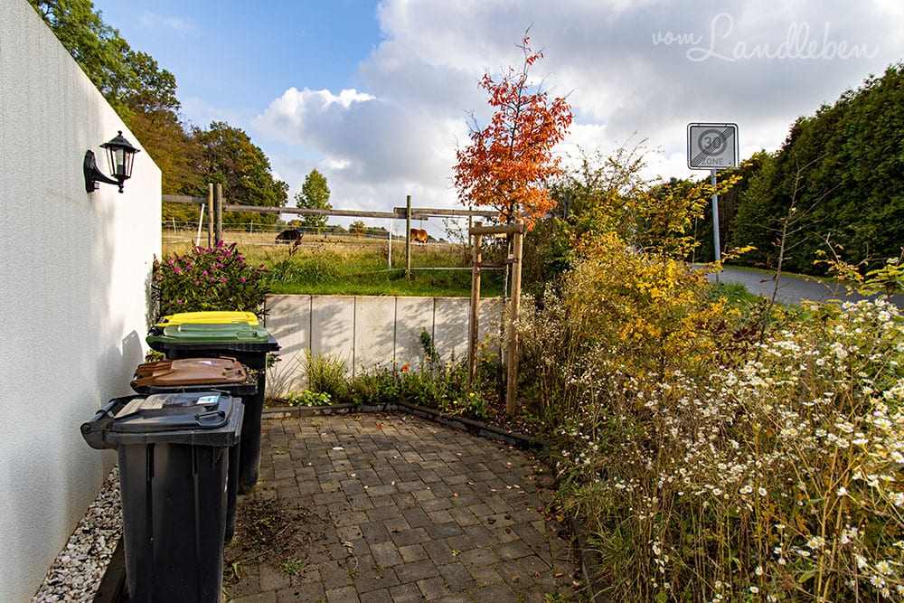 Vorgarten im Oktober 2020