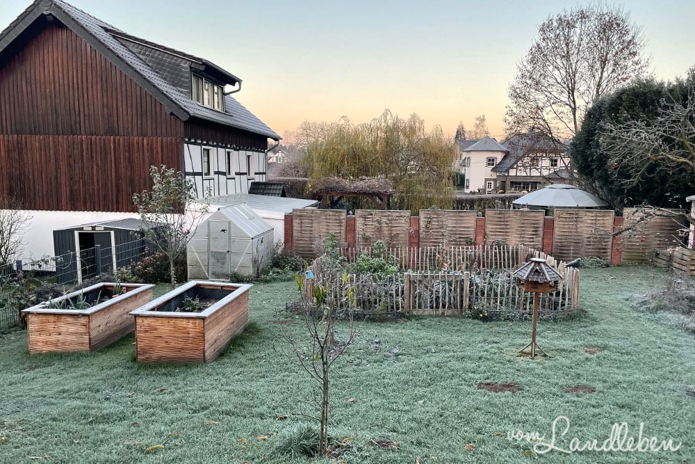 Garten im November 2020