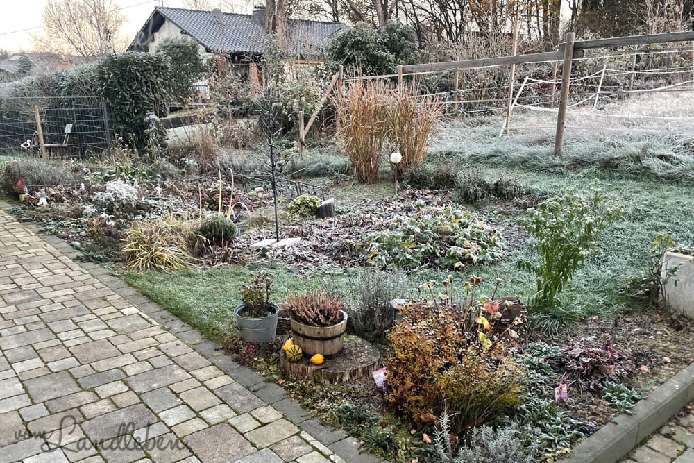 Mittelgarten im November 2020