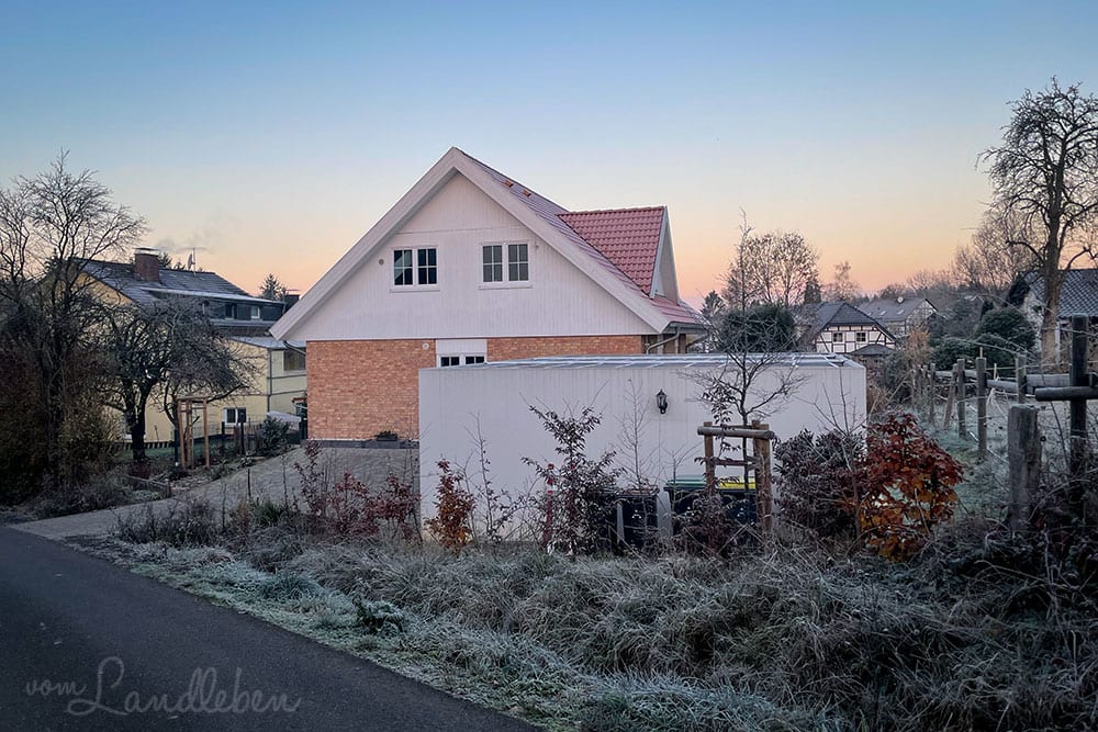 Vorgarten im November 2020