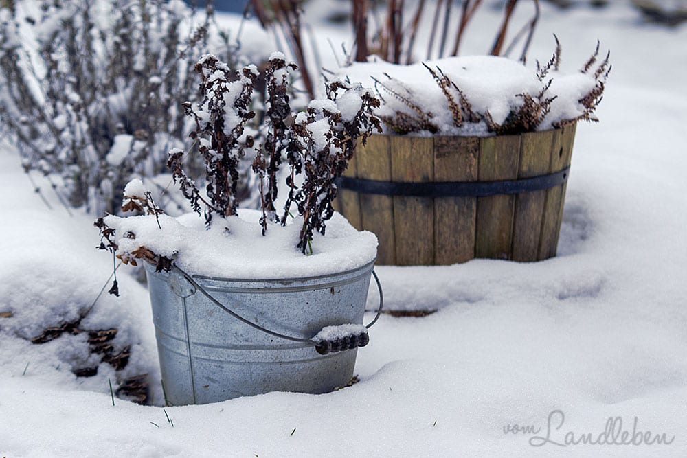 Schnee im Mittelgarten - Januar 2021