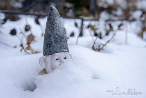 Eingeschneiter Gartenzwerg