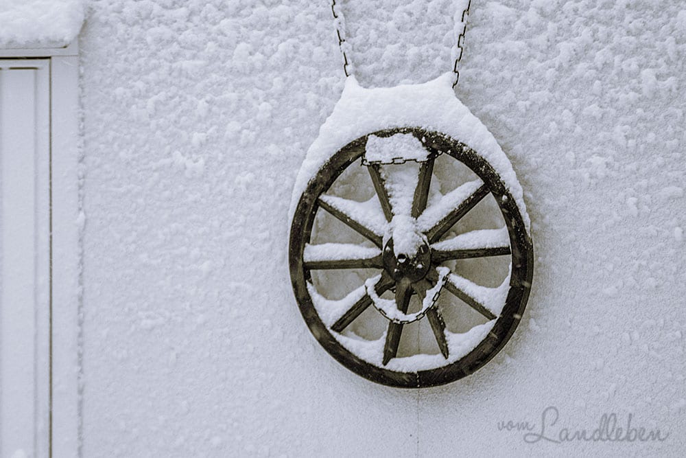 Schnee im Mittelgarten - Januar 2021