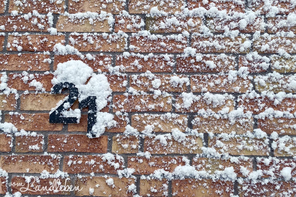 Schnee im Vorgarten - Januar 2021