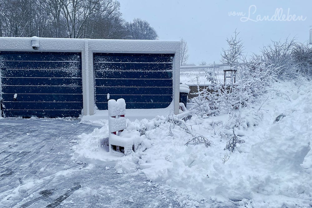 Schnee im Vorgarten - Januar 2021