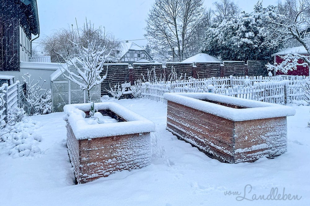 Schnee im Garten - Januar 2021