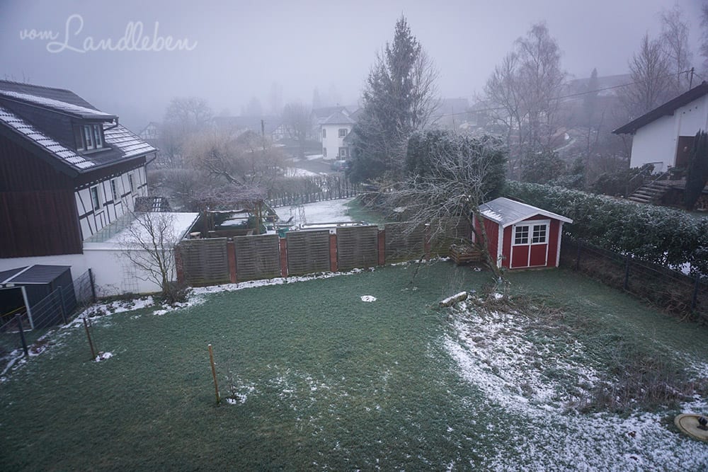 Unser Garten im Februar 2018