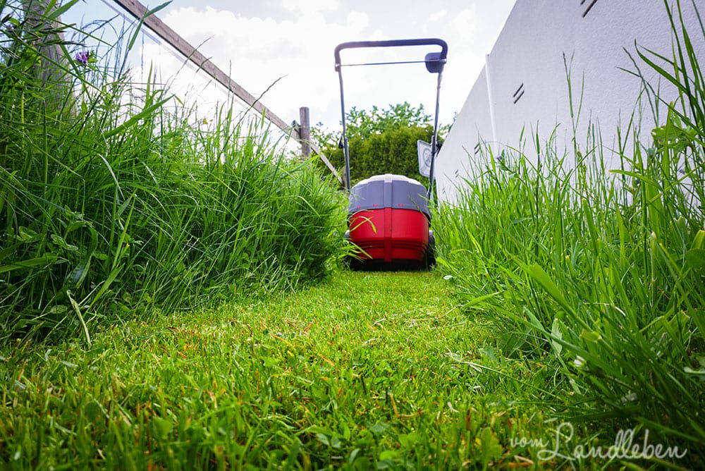 Einhell GE-CM 43 Akku-Rasenmäher