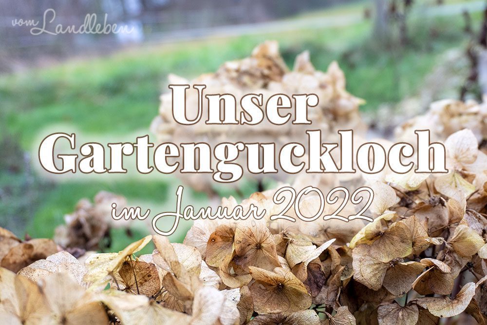 Gartenguckloch Januar 2022