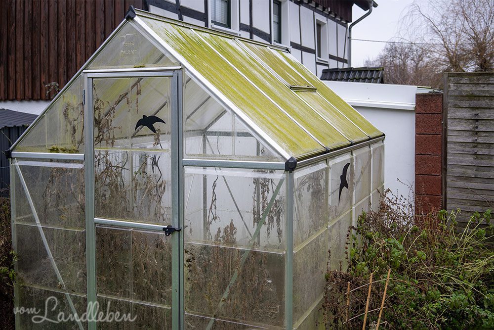 Gewächshaus im Januar 2022