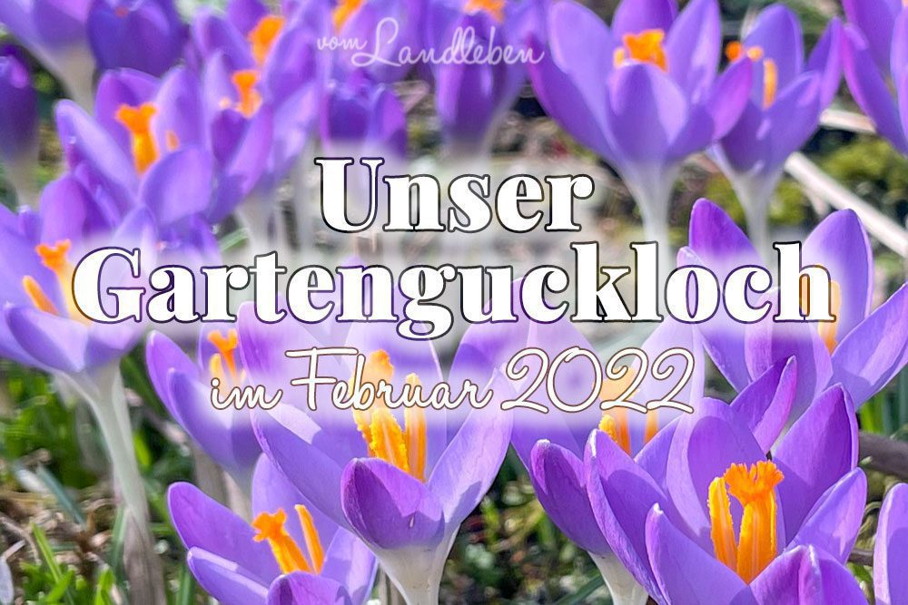 Gartenguckloch Februar 2022