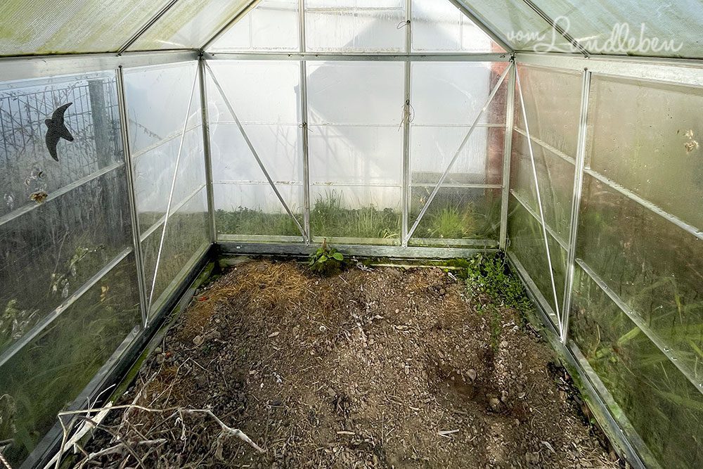 Gewächshaus im Februar 2022