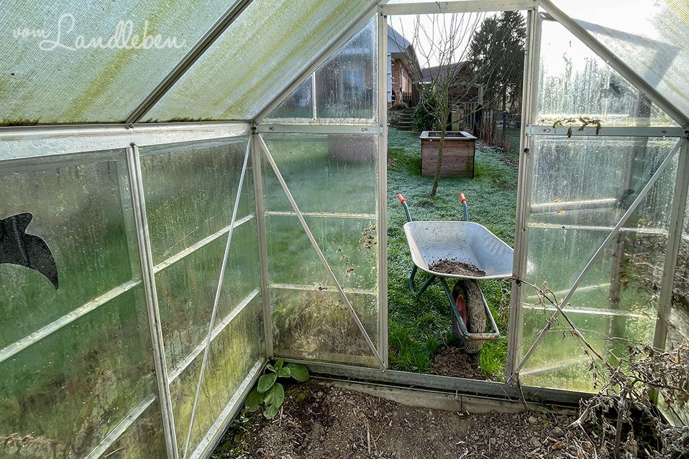 Gewächshaus im Februar 2022