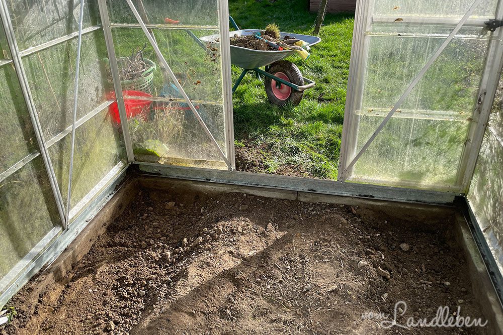 Gewächshaus im Februar 2022