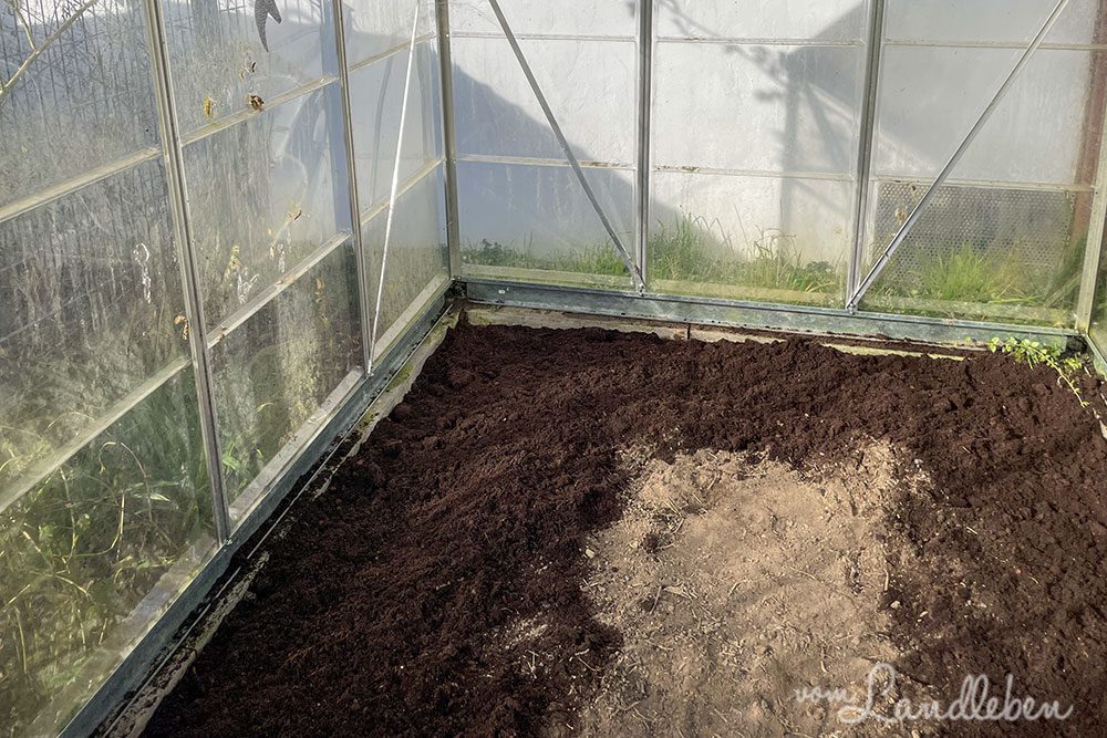 Gewächshaus im Februar 2022