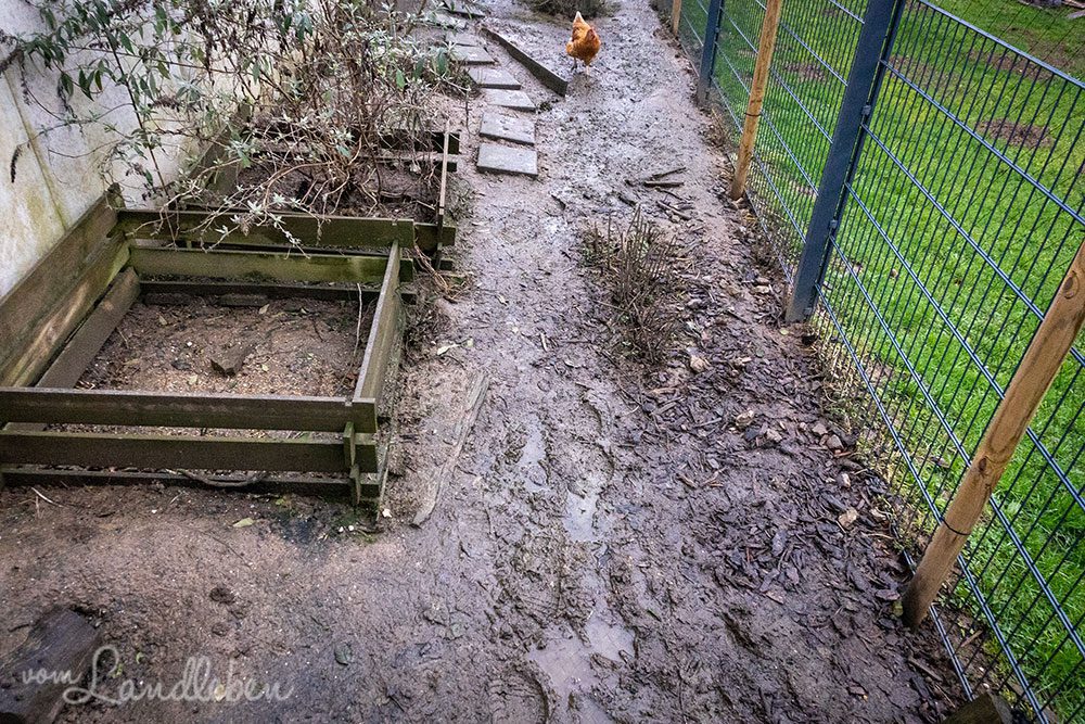 Matschiger Weg im Hühnergarten