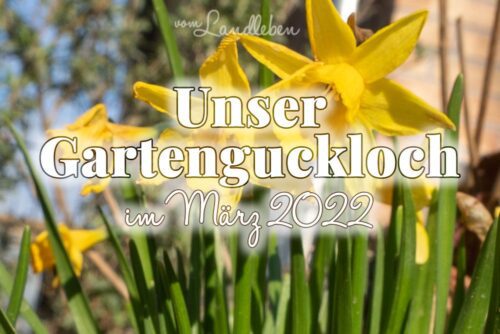 Gartenguckloch März 2022