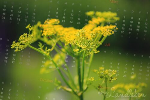 Gartenkalender