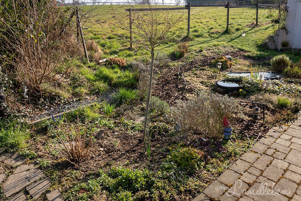 Mittelgarten im März 2022