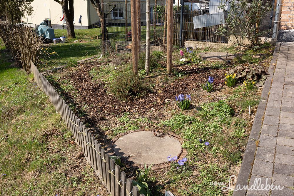 Vorgarten im März 2022