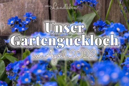 Gartenguckloch April 2022