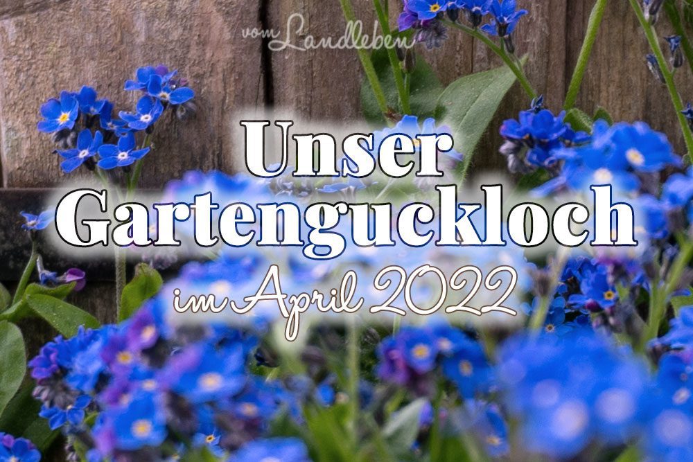 Gartenguckloch April 2022