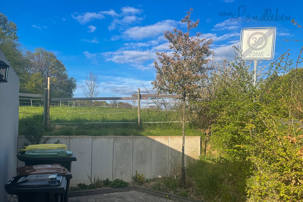 Vorgarten im April 2022