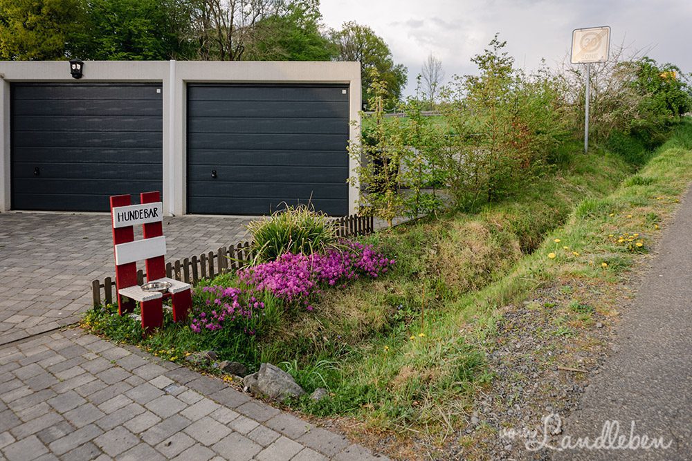 Vorgarten im April 2022