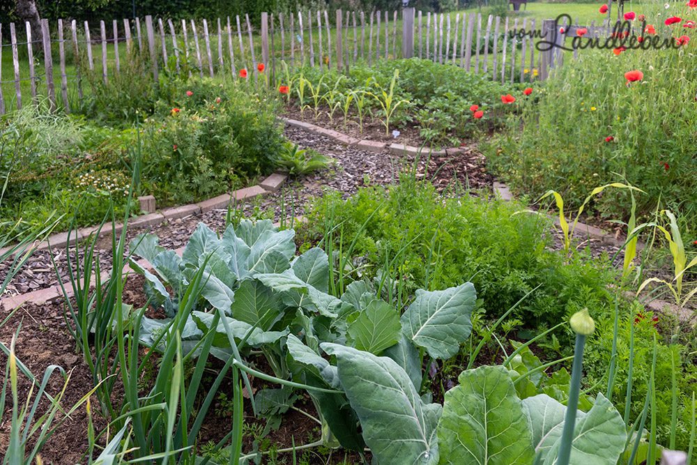 Bauerngarten im Mai 2022