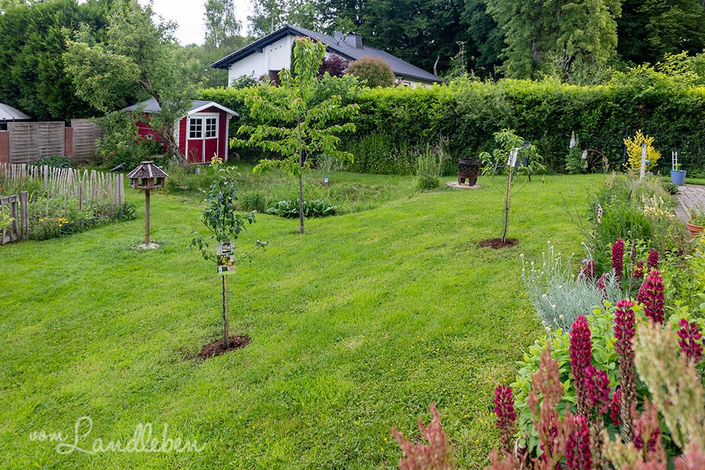 Unser Garten im Mai 2022