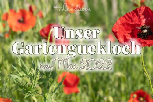 Gartenguckloch Mai 2022