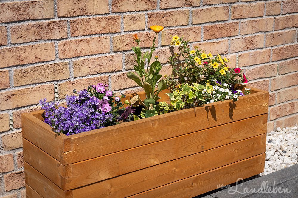 Pflanzkübel an der Hauswand