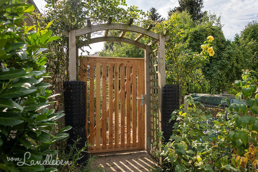 Hühnergarten im Juli 2022