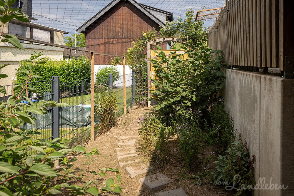 Hühnergarten im Juli 2022