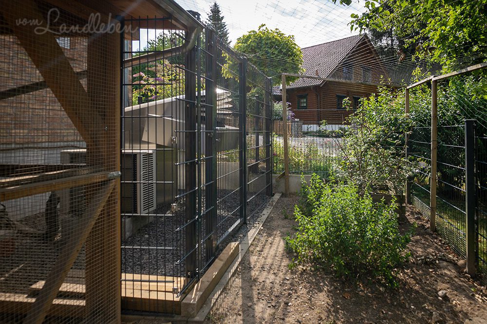 Hühnergarten im Juli 2022