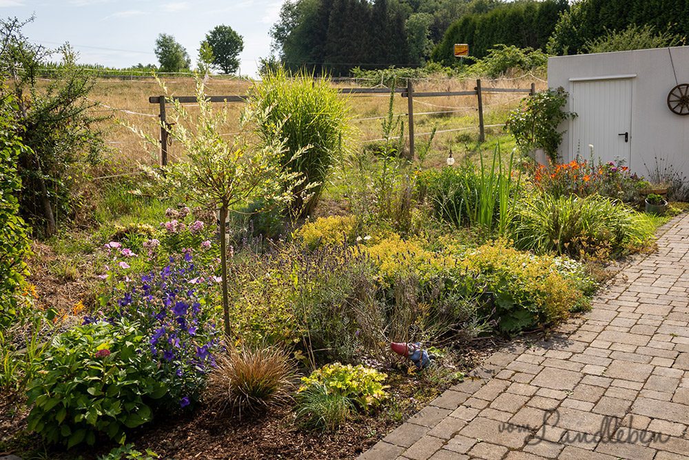 Mittelgarten im Juli 2022