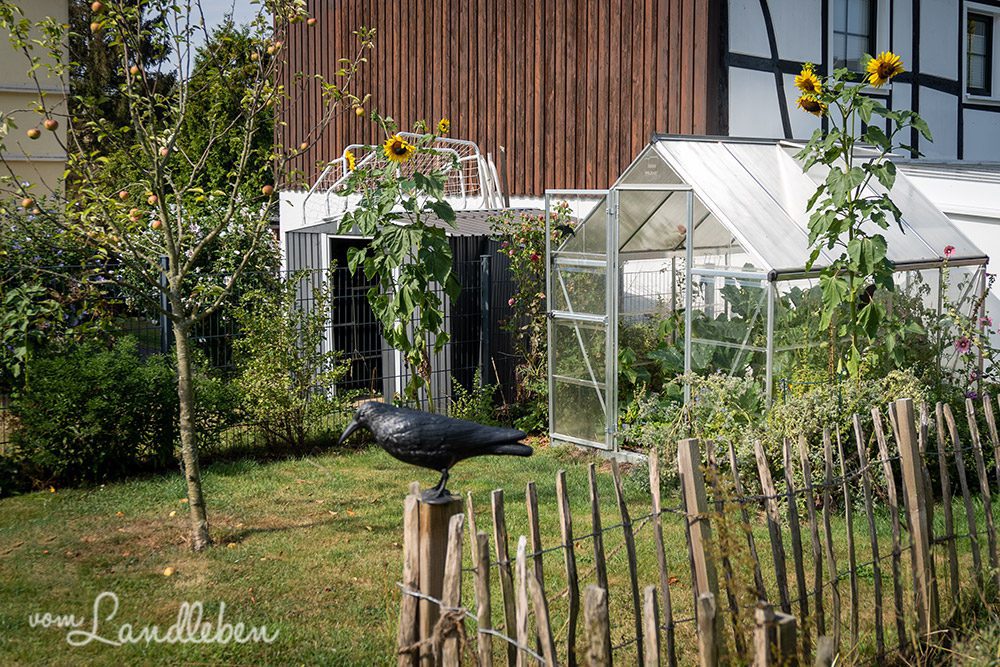 Unser Garten im August 2022