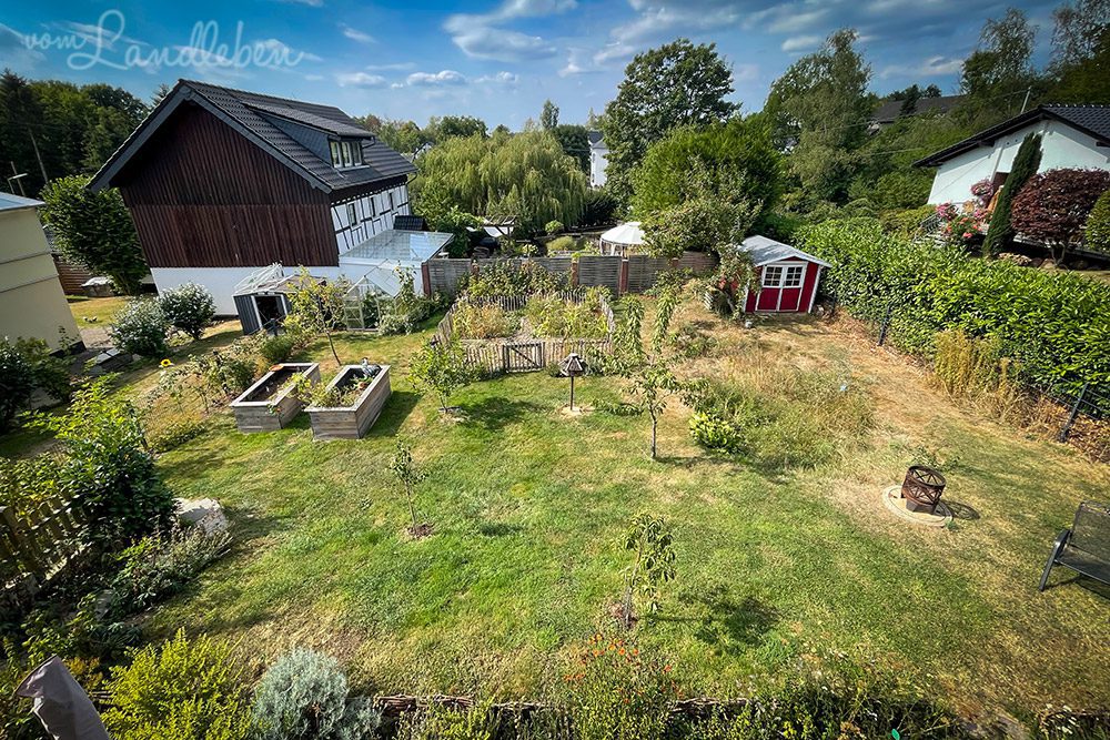 Unser Garten im August 2022