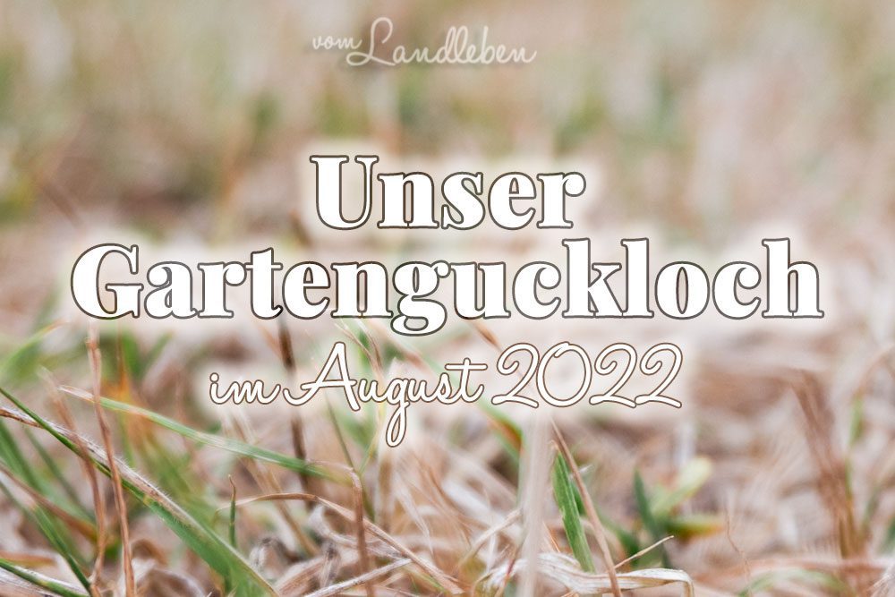 Gartenguckloch August 2022