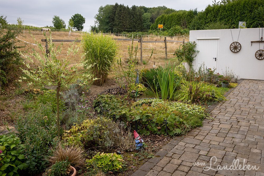 Mittelgarten im August 2022