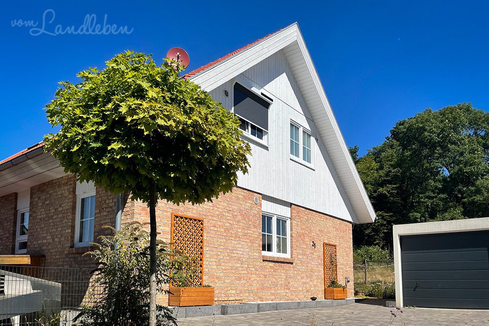 Vorgarten im August 2022