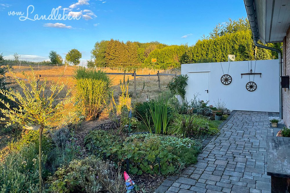 Mittelgarten im September 2022