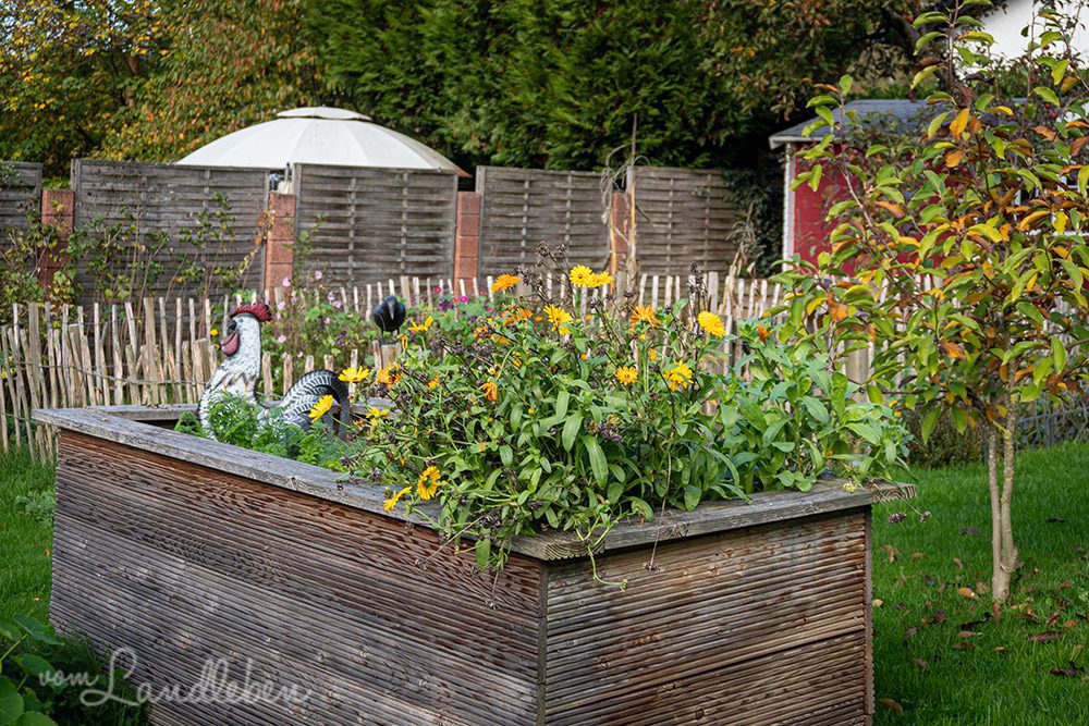 Unser Garten im Oktober 2022